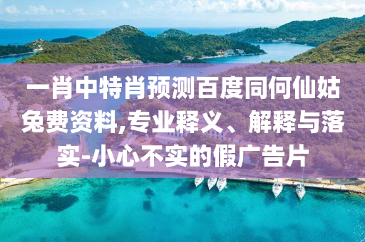 一肖中特肖预测百度同何仙姑兔费资料,专业释义、解释与落实-小心不实的假广告片